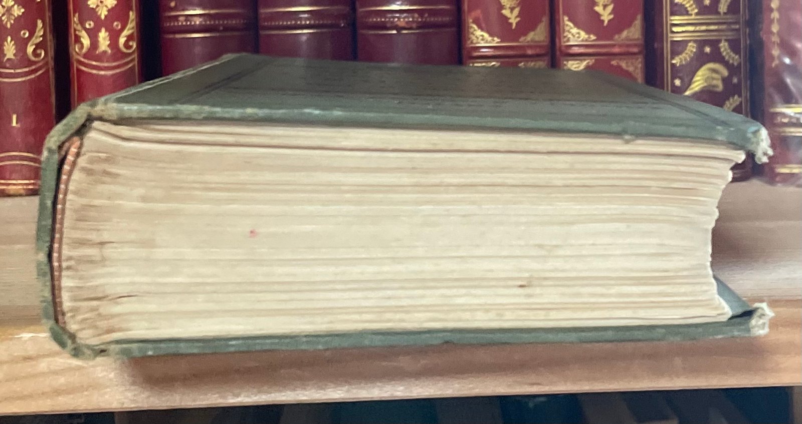 Helferich Atlante e compendio delle fratture e lussazioni traumatiche 1908 - immagine 30