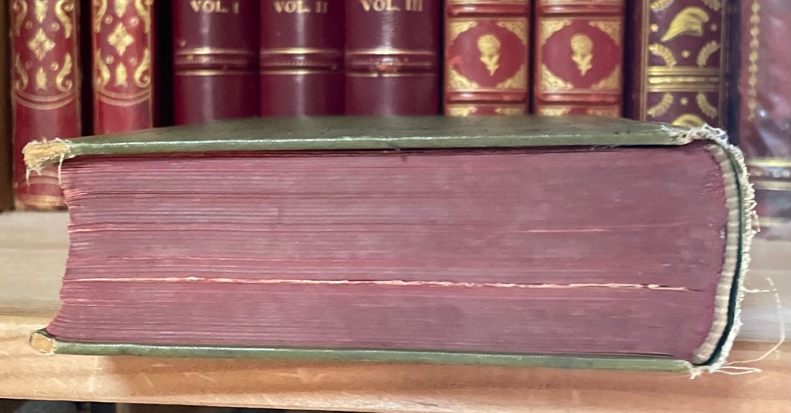 Condividi Atlante e compendio di Chirurgia Ortopedica per studenti e medici 1902 - immagine 18