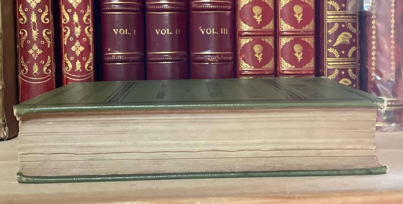 Condividi Atlante e compendio di Chirurgia Ortopedica per studenti e medici 1902 - immagine 19