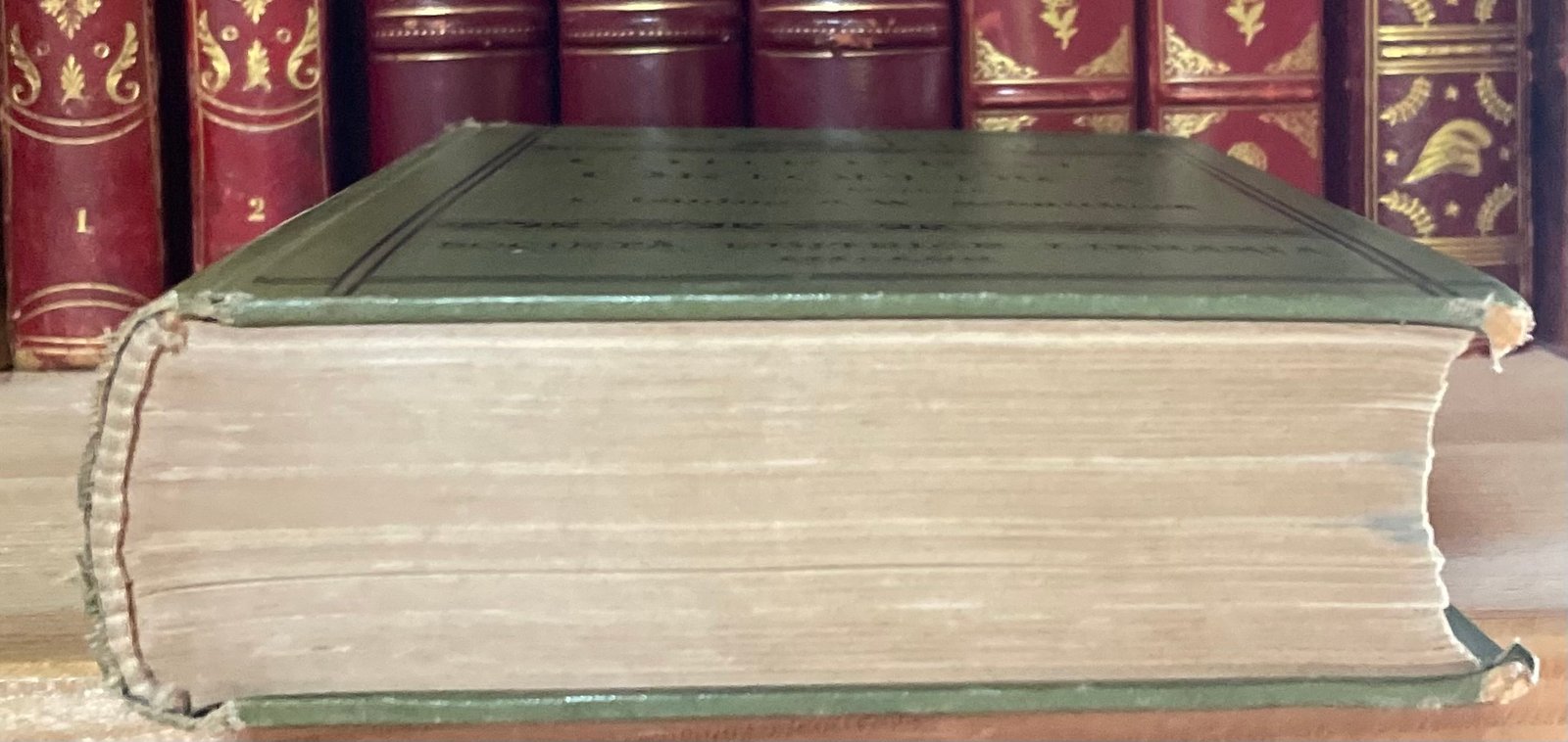 Condividi Atlante e compendio di Chirurgia Ortopedica per studenti e medici 1902 - immagine 20