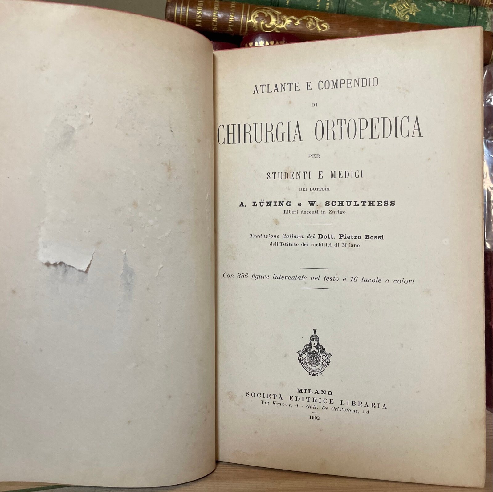 Condividi Atlante e compendio di Chirurgia Ortopedica per studenti e medici 1902 - immagine 17