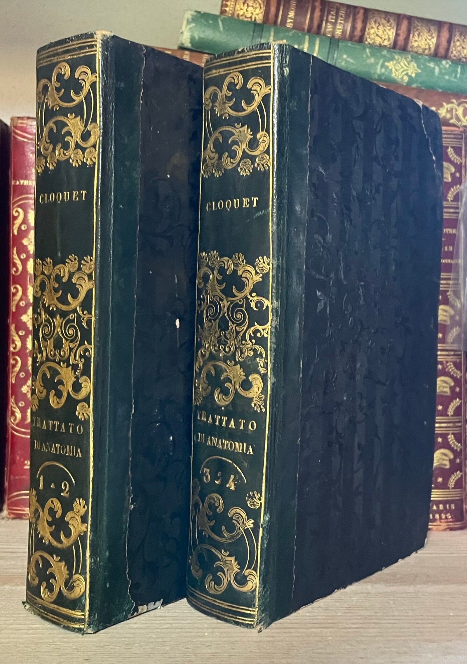 Cloquet Trattato di anatomia descrittiva Andrea Scarpati 1832 4 parti in 2 voll.