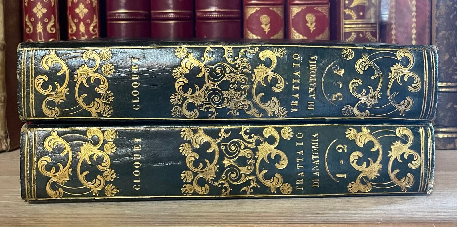 Cloquet Trattato di anatomia descrittiva Andrea Scarpati 1832 4 parti in 2 voll. - immagine 27