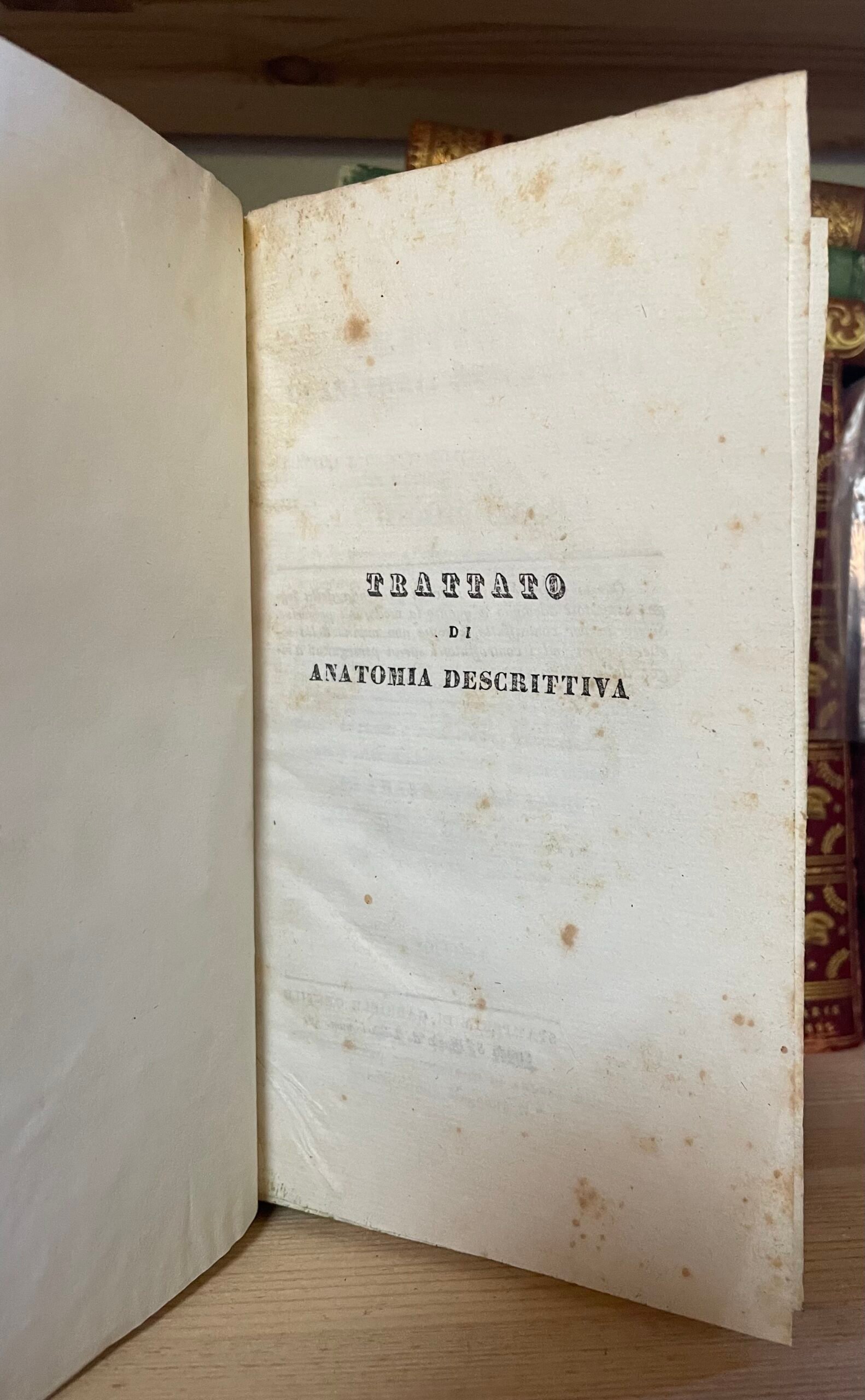 Cloquet Trattato di anatomia descrittiva Andrea Scarpati 1832 4 parti in 2 voll. - immagine 6