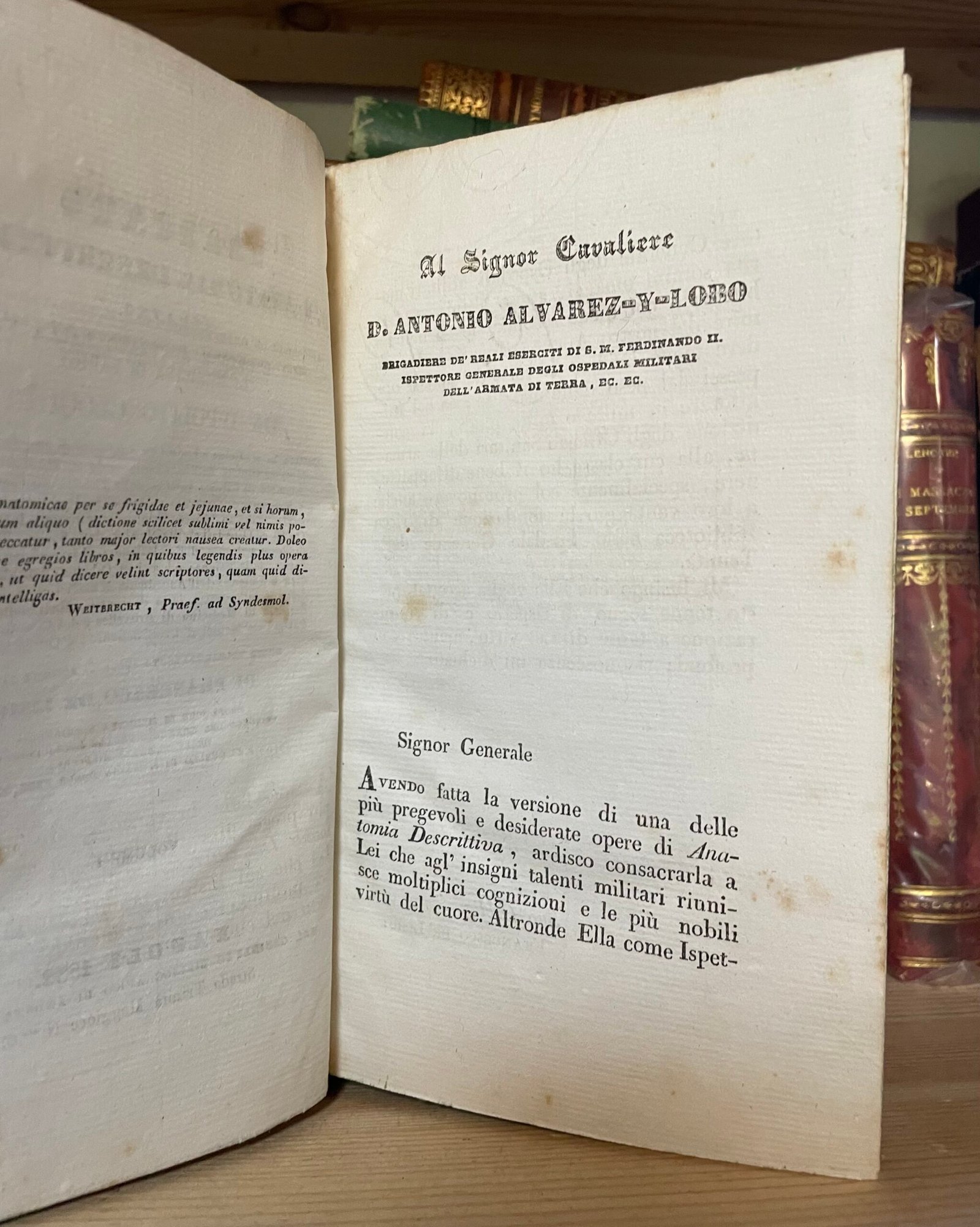 Cloquet Trattato di anatomia descrittiva Andrea Scarpati 1832 4 parti in 2 voll. - immagine 9