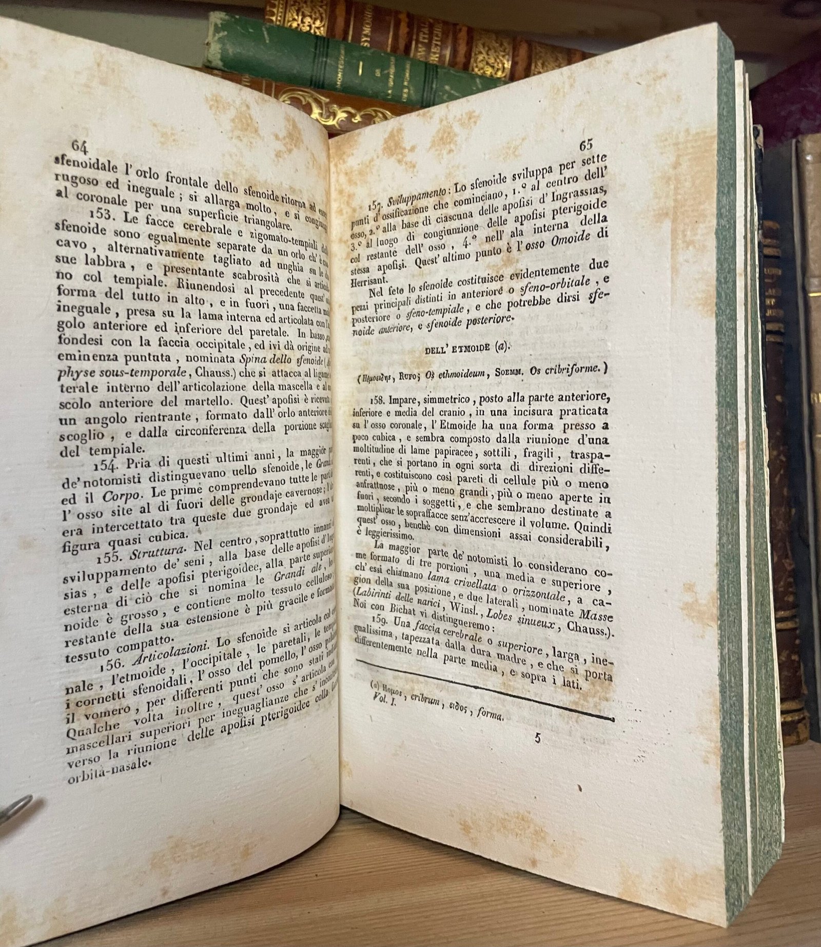Cloquet Trattato di anatomia descrittiva Andrea Scarpati 1832 4 parti in 2 voll. - immagine 10