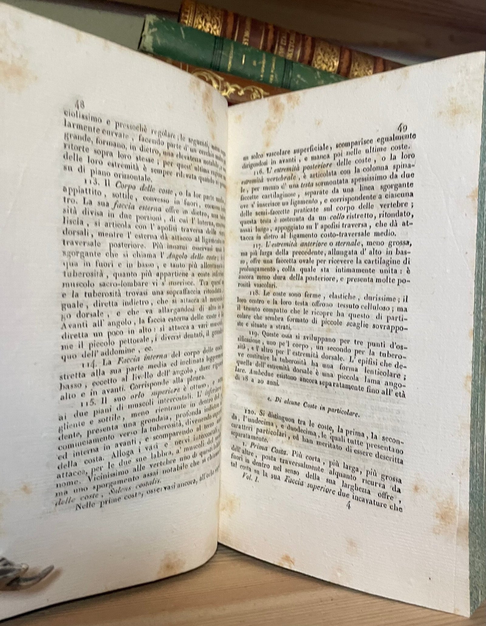 Cloquet Trattato di anatomia descrittiva Andrea Scarpati 1832 4 parti in 2 voll. - immagine 11