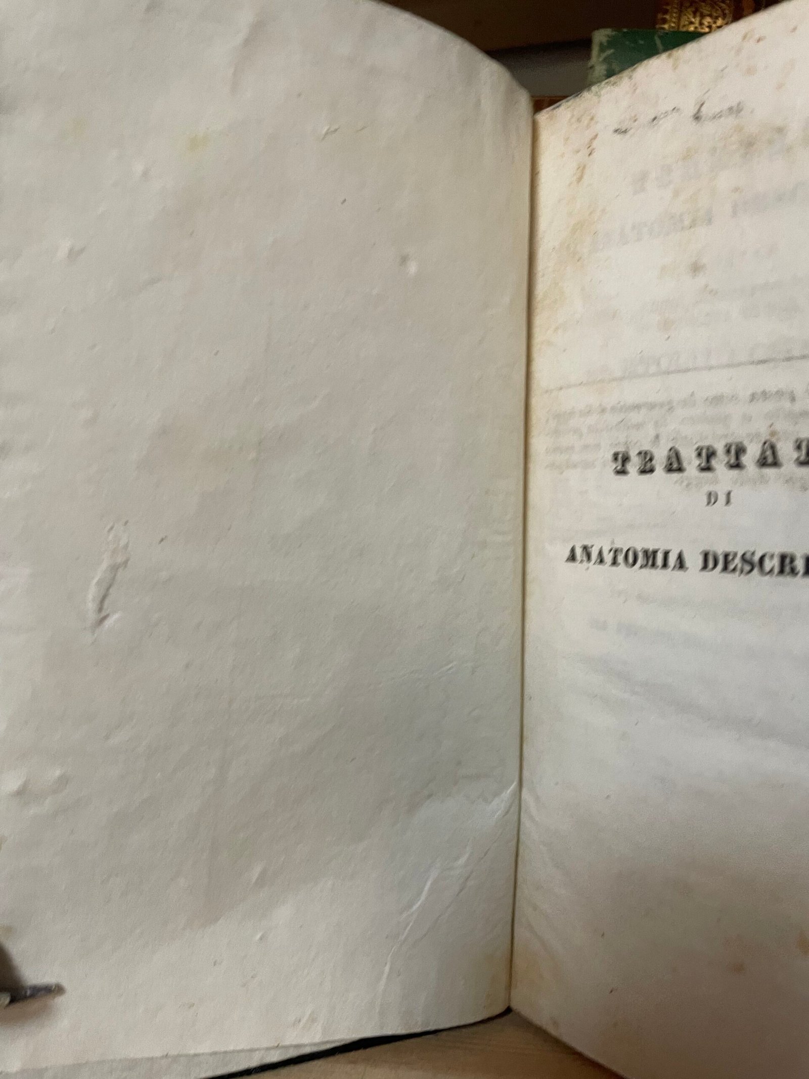 Cloquet Trattato di anatomia descrittiva Andrea Scarpati 1832 4 parti in 2 voll. - immagine 15
