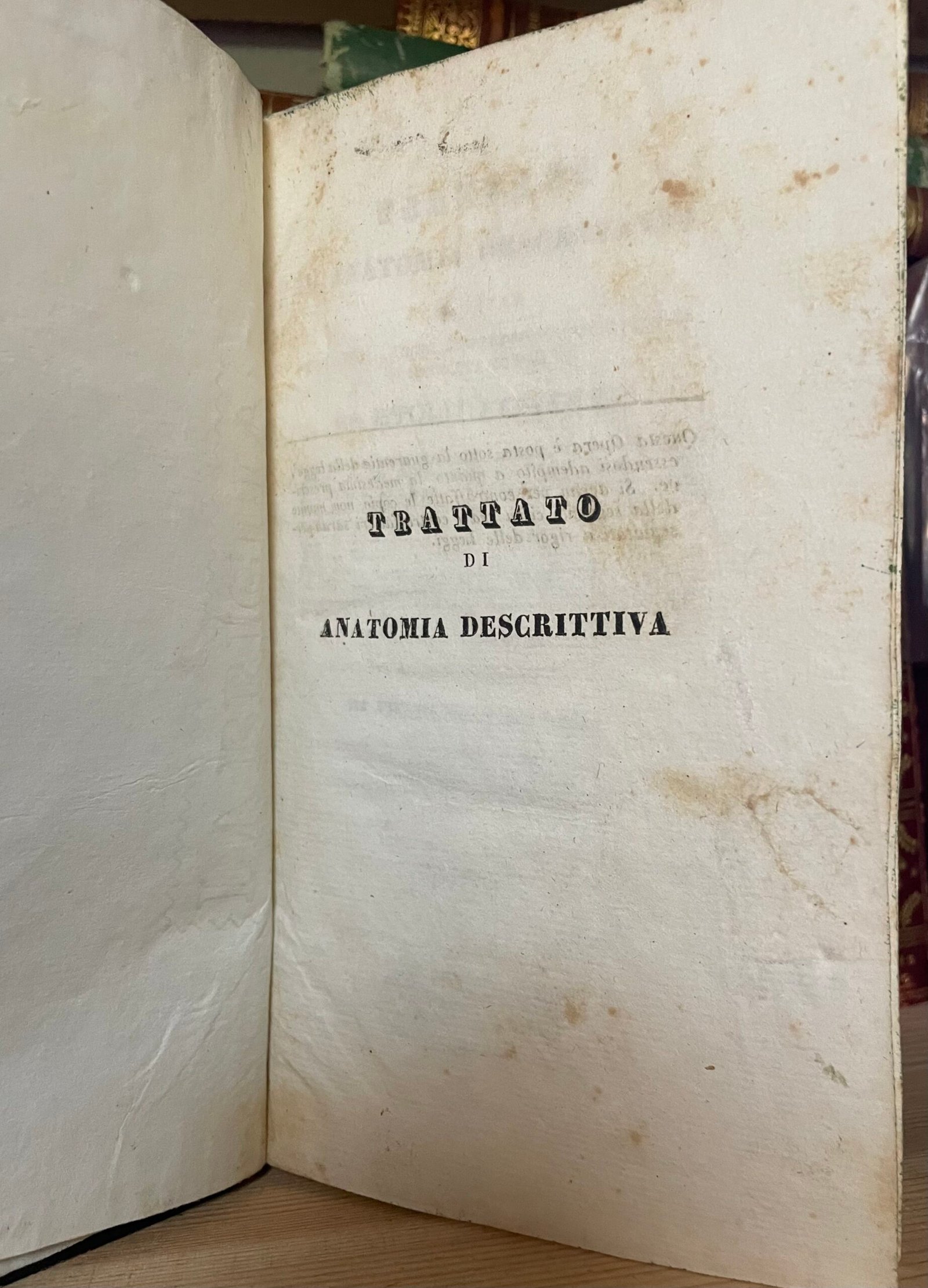 Cloquet Trattato di anatomia descrittiva Andrea Scarpati 1832 4 parti in 2 voll. - immagine 16