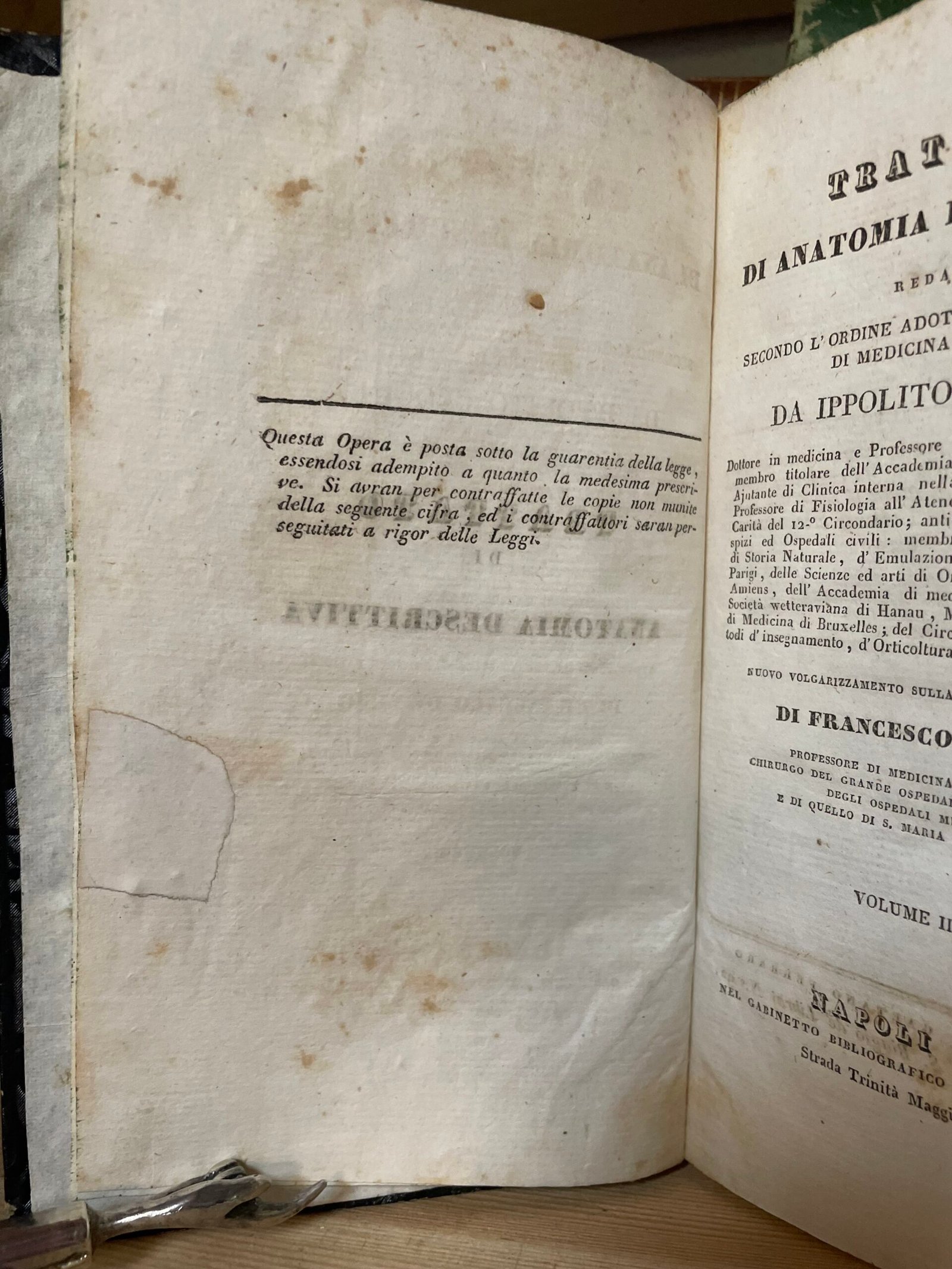 Cloquet Trattato di anatomia descrittiva Andrea Scarpati 1832 4 parti in 2 voll. - immagine 17