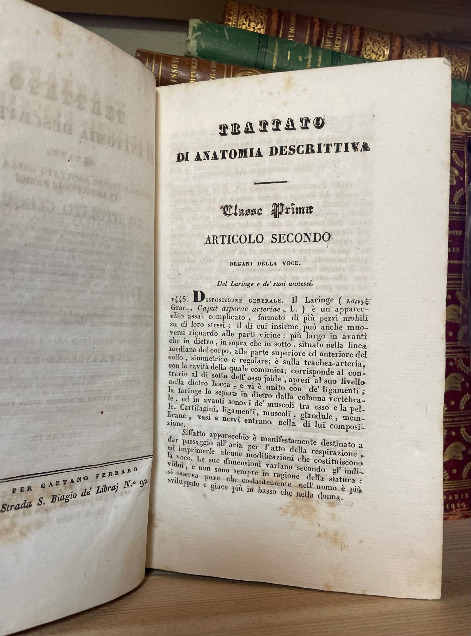 Cloquet Trattato di anatomia descrittiva Andrea Scarpati 1832 4 parti in 2 voll. - immagine 19